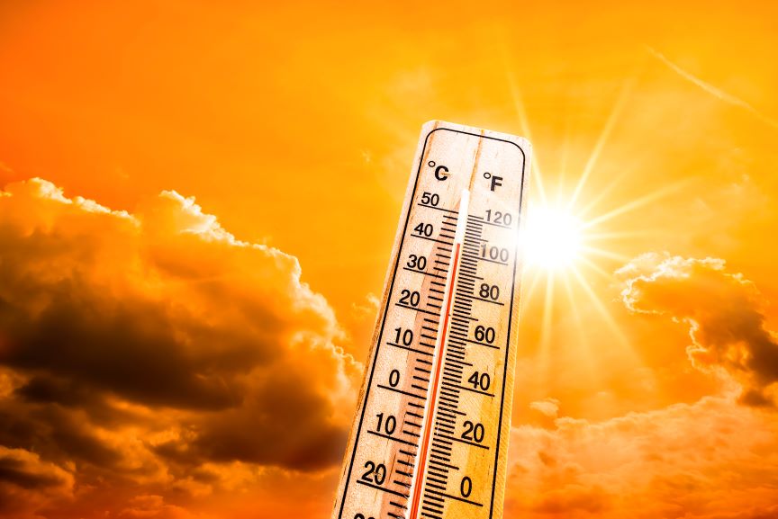 Image for Public Health Turns Up the Heat on Heatwaves